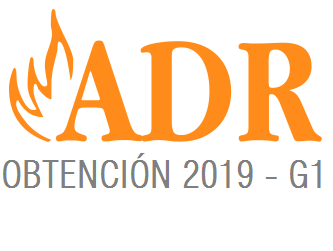 CURSO CONSEJERO DE SEGURIDAD ADR 2019 - GRUPO 1 - OBTENCIÓN